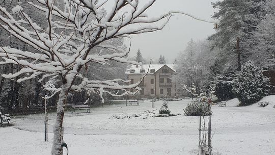 Afera wokół Collegium Humanum i Uzdrowiska Rymanów. 26 osób z aktem oskarżenia
