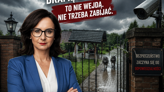 „Bramę zamknij. To nie wejdą”. Burza po słowach Gasiuk-Pihowicz o niedźwiedziach w Bieszczadach