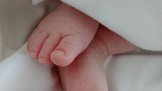 Ciało noworodka w domu, śledztwo na wstępnym etapie. Zatrzymano cztery osoby Ciało noworodka w domu, śledztwo na wstępnym etapie. Zatrzymano cztery osoby