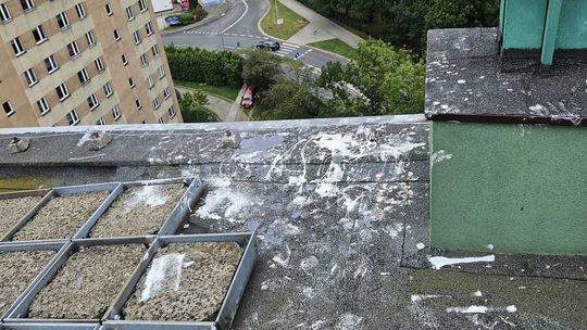 Graffiti na 11-piętrowym bloku. 31-latek uciekł na dach, policjanci obawiali się skoku