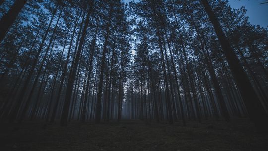 Nocne poszukiwania dwóch nastolatków. Policja postawiona na nogi!