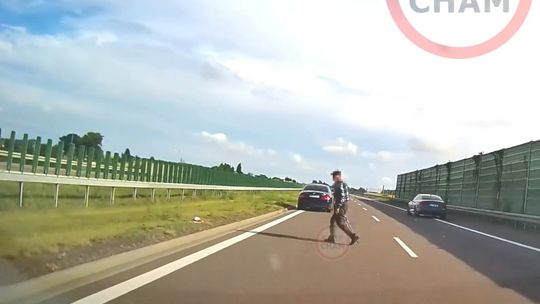 O włos od tragedii na S19. Starszy mężczyzna idący o lasce wszedł wprost pod koła na drodze ekspresowej [WIDEO]
