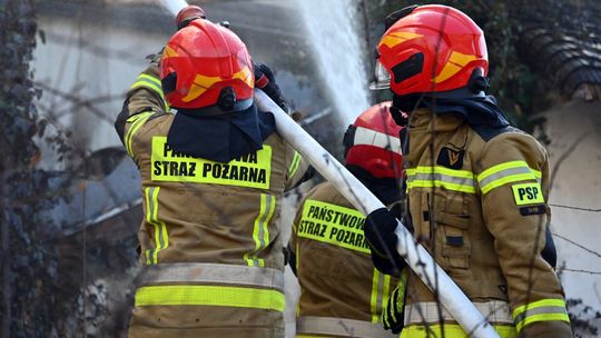 Ogromny pożar kurnika w regionie. Zginęło około 13 tysięcy kur