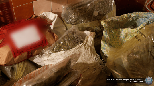 Ponad 60 kilogramów narkotyków ukrytych w skrytkach! Wielomiesięczne śledztwo policji i prokuratury z Rzeszowa