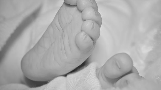Śledztwo prowadzone pod kątem zabójstwa! Poruszająca sprawa z Sulistrowej