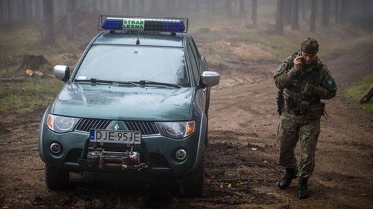 Straż Leśna ruszyła z kontrolami przed Wszystkimi Świętymi. Akcja także w Nadleśnictwie Głogów