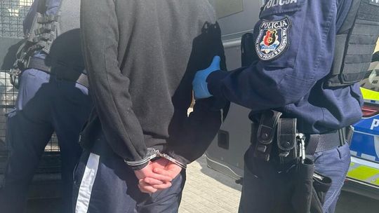 Zarzut szczególnego okrucieństwa znęcania się nad psem