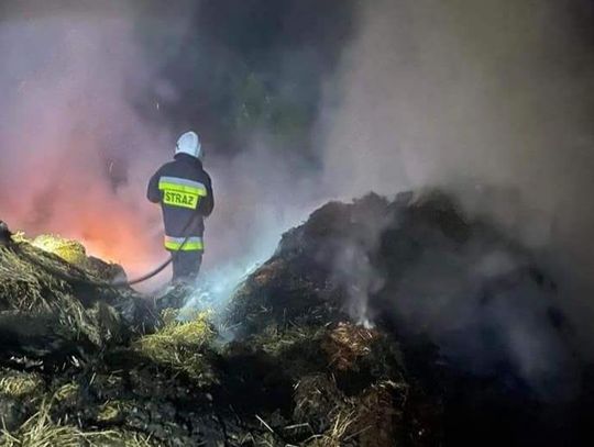 17- latek podpalał trawy, teraz odpowie za to przed sądem dla nieletnich