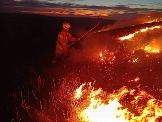 5 hektarów traw Połoniny Caryńskiej w ogniu. Strażacy jednak opanowali sytuację