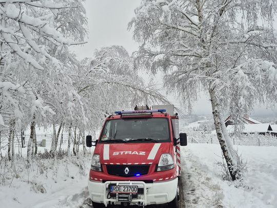 505 interwencji strażaków na Podkarpaciu. Intensywne opady śniegu paraliżują region