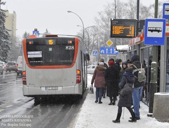 Ankieterzy pukają do mieszkań. Zbierają informacje o komunikacji