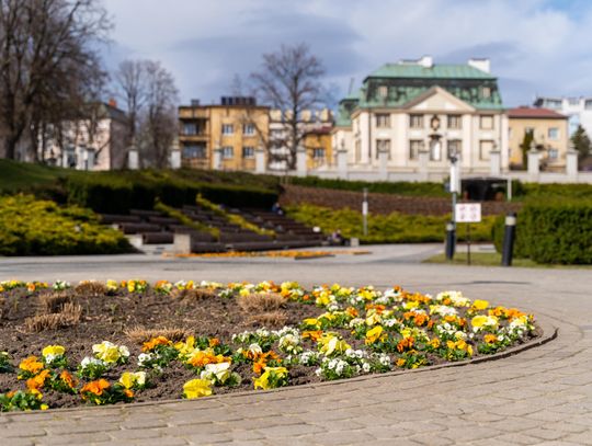 Będzie czysto i zielono. Trwają prace porządkowe w Rzeszowie