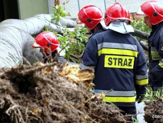 Blisko 100 razy interweniowali strażacy w wyniku silnych wiatrów na Podkarpaciu