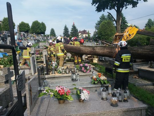 Burze na Podkarpaciu. Strażacy wyjeżdżali 52 razy do usuwania skutków nawałnic [ZDJĘCIA]