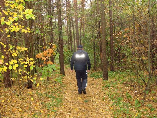 Chwile grozy w lesie. Mężczyzna z urazem nogi zgubił się na grzybobraniu
