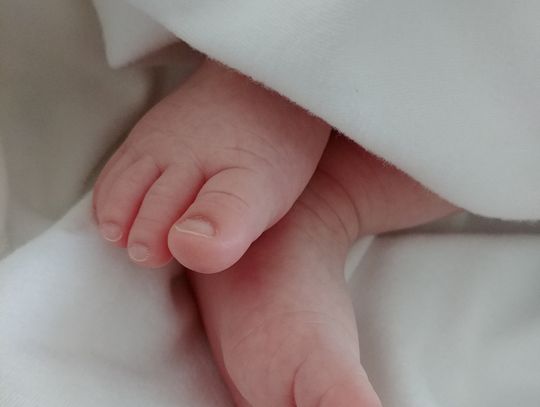 Ciało noworodka w domu, śledztwo na wstępnym etapie. Zatrzymano cztery osoby