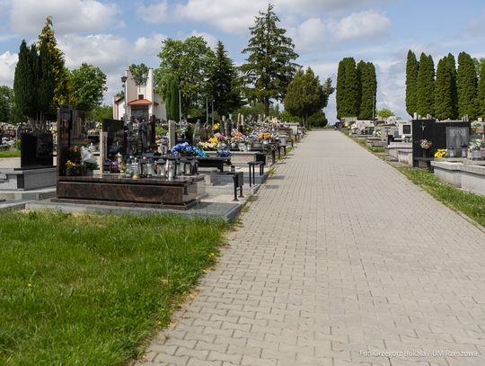 Cmentarz na Zwięczycy przejdzie metamorfozę. Powstaną nowe alejki z budżetu obywatelskiego