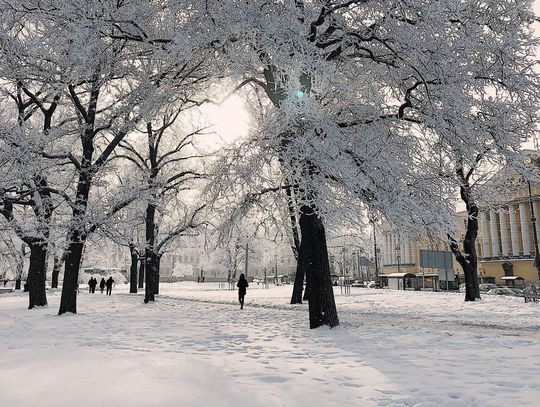 Drogowcy gotowi do odśnieżania ulic w Rzeszowie