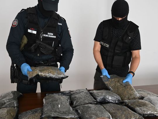 Dzięki działaniom służb, do sprzedaży nie trafiło ponad 11 kilogramów suszu marihuany wartej 790 tys. złotych.