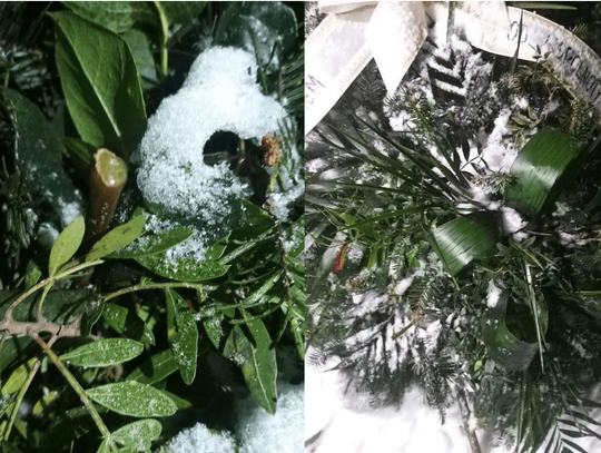 Dzień po śmierci pana Jakuba w Sobinowie ktoś okradł jego grób!