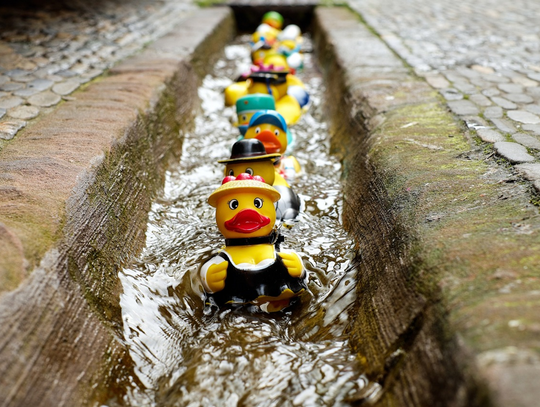 Dzień Polskiej Wódki czy Dzień Gumowej Kaczuszki – oto jedne ze świąt przypadających 13 stycznia. Co poza tym dziś świętujemy?