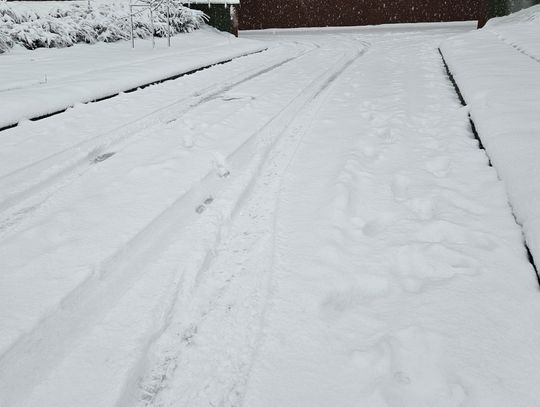 Podkarpacie walczy ze skutkami śnieżycy: 873 interwencje służb w ciągu 14 godzin!