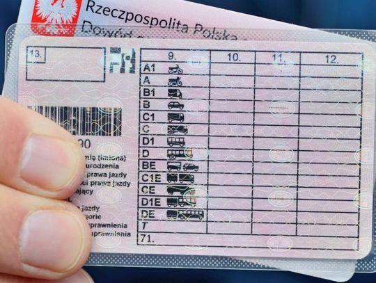Egzaminacyjny blef w podkarpackim WORD: trzej mężczyźni próbowali wyłudzić prawo jazdy, grozi im do 3 lat więzienia