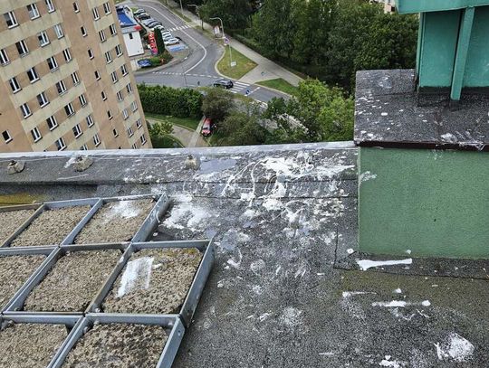 Graffiti na 11-piętrowym bloku. 31-latek uciekł na dach, policjanci obawiali się skoku