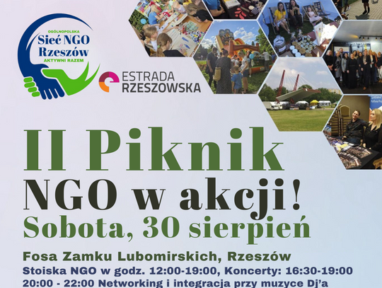 II Piknik dla Społeczności „NGO W AKCJI”. Połączymy siły dla lokalnych inicjatyw w Rzeszowie!