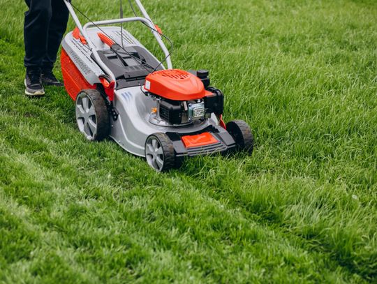 Jaką kosiarkę wybrać? - kompleksowy przewodnik po świecie maszyn do trawy