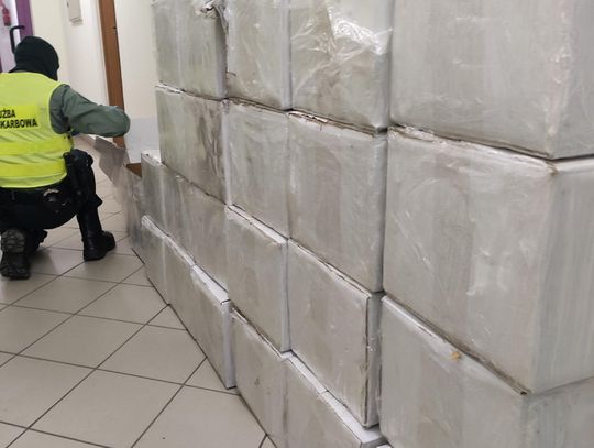 KAS i Straż Graniczna wykryły nielegalne leki na potencję warte 5 mln zł