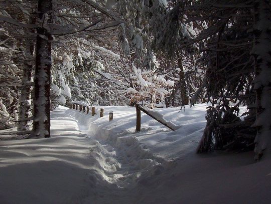 Kierunek Bieszczady! Ferie w górach Kierunek Bieszczady! Ferie w górach