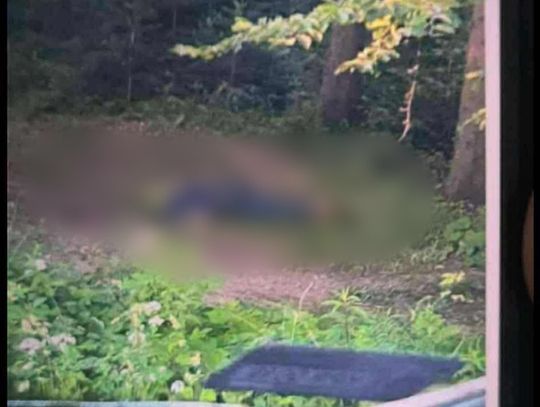Koniec obławy w Starej Wsi. Ciało 57-letniego zabójcy Tadeusza Dudy odnalezione w lesie