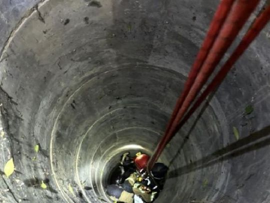 Koza wpadła do studni w Cierpiszu – akcja strażaków z Łańcuta