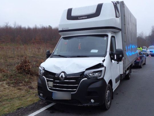 Łoś wbiegł pod auto. Kierowcy na szczęście nic się nie stało