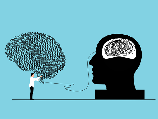 Międzynarodowy Dzień Psychologa i "prezent" finansowy dla rzeszowskich organizacji pozarządowych