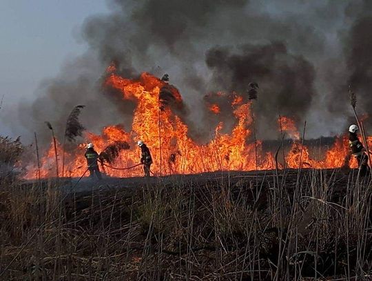 Mniej pożarów traw w tym roku w województwie podkarpackim