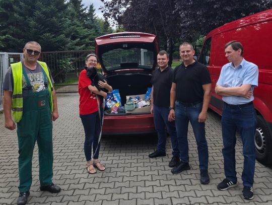 MPK twierdzi, że autobus nie przejechał psa na Łukasiewicza i apeluje o zaprzestanie hejtu