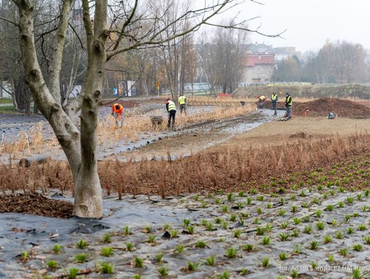 Nad Wisłokiem w Rzeszowie powstaje plaża. Zobacz zdjęcia!