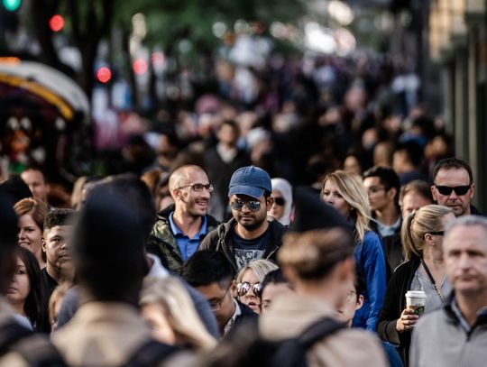 Narodowy Spis Powszechny Ludności - wersja demo i pytania