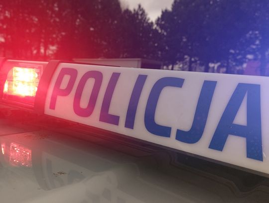 Niebezpieczny rajd 16-latków. Kolizja, ucieczka i samochód ukryty w lesie...