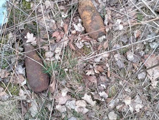 Niezwykłe znalezisko w powiecie ropczycko-sędziszowskim. Interweniowali policjanci i saperzy