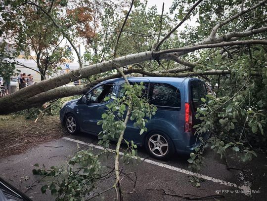 Niszczycielskie burze nad Podkarpaciem. Wiatr zrywa dachy, łamie drzewa [ZDJĘCIA]