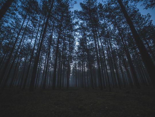Nocne poszukiwania dwóch nastolatków. Policja postawiona na nogi!