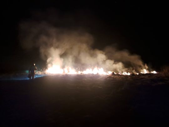 Nocny pożar traw. Interweniowała straż pożarna i policja