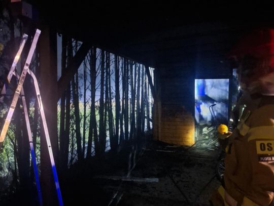 Nocny pożar tui i wiaty w Rzeszowie. Szybka akcja strażaków zapobiegła tragedii