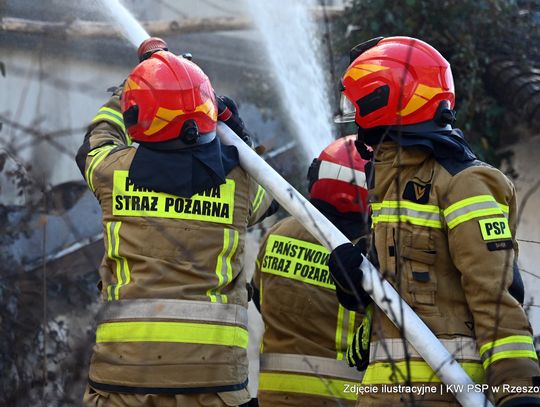 Nocny pożar w Rzeszowie. Spłonęło kilkanaście hekatrów traw i nieużytków