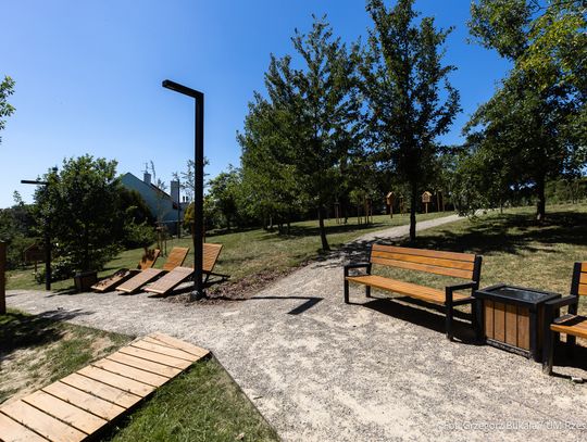 Nowa oaza zieleni na Pobitnie. Miasto otwiera park przy Gajowej i Szkolnej