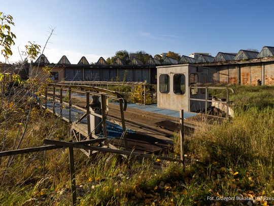 Nowe życie dla dawnej parowozowni. Rzeszów stawia na rewitalizację terenów kolejowych