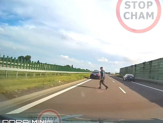 O włos od tragedii na S19. Starszy mężczyzna idący o lasce wszedł wprost pod koła na drodze ekspresowej [WIDEO]